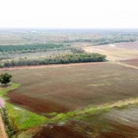 Biscoe Farm images 2