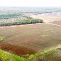 Biscoe Farm images 3
