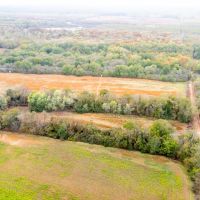 Biscoe Farm images 5