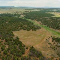 Buck Fever Ranch images 3