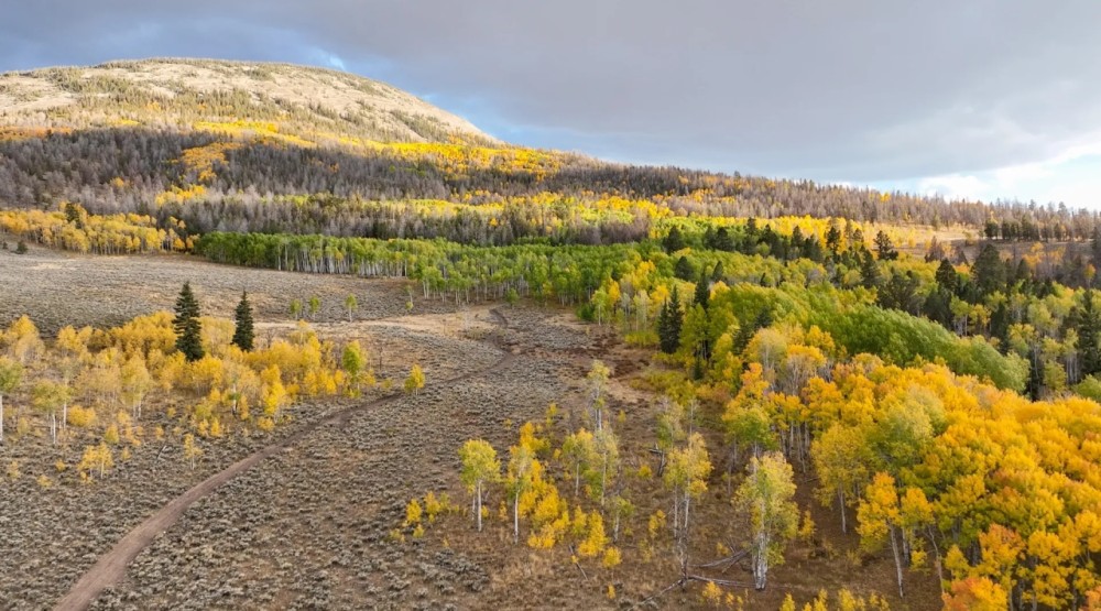 Tomichi Dome Hunting Ranch featured image