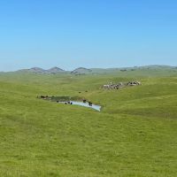Redington Ranch images 4