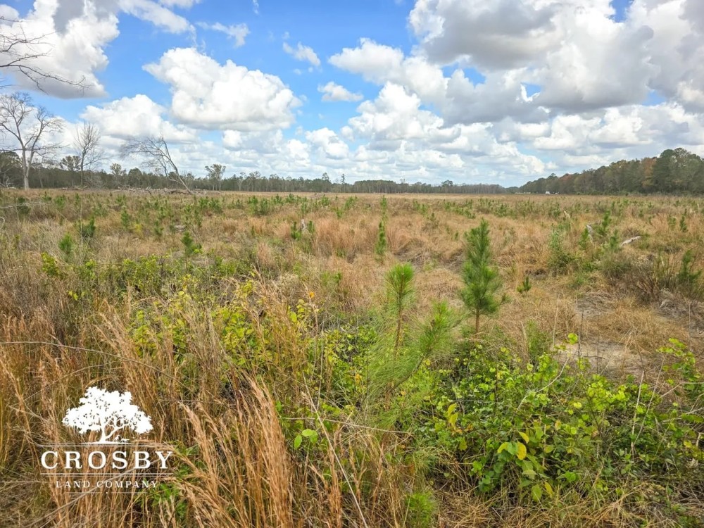 Sammons Tract featured image