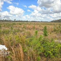 Sammons Tract