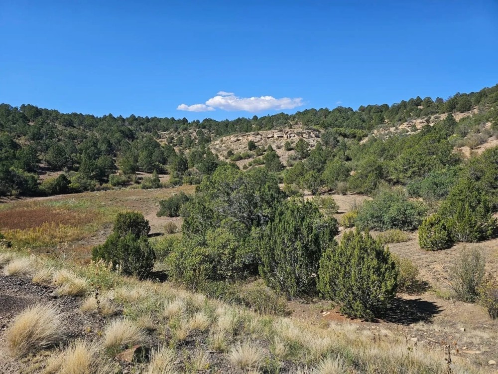 1 San Juan Mesa Ranch featured image