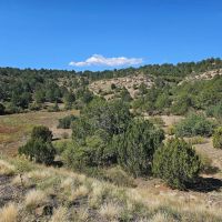 1 San Juan Mesa Ranch