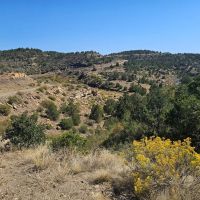 1 San Juan Mesa Ranch images 2