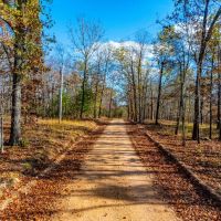 20 - Acres HUNTERS Paradise Surrounded by AR Game and Fish Hardy Arkansas