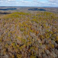 20 - Acres HUNTERS Paradise Surrounded by AR Game and Fish Hardy Arkansas images 3