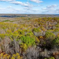 20 - Acres HUNTERS Paradise Surrounded by AR Game and Fish Hardy Arkansas images 4