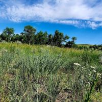 Buffalo Coulee Ranch images 2