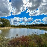 143 Acres Wood Farm Road images 5