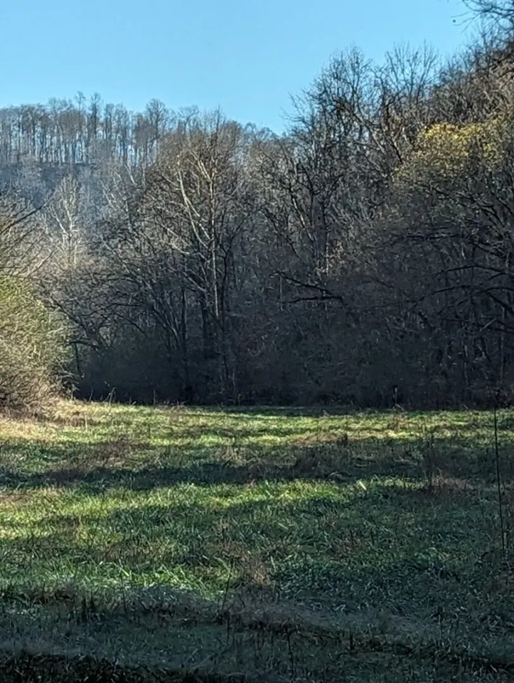 Baugh Hollow Rd Lot 6 featured image