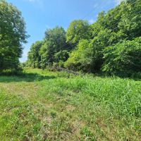 Baugh Hollow Rd Lot 1