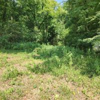 Baugh Hollow Rd Lot 1 images 2