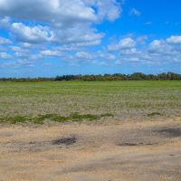 125 Acres with Tallapoosa River Frontage images 2