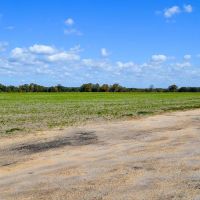125 Acres with Tallapoosa River Frontage images 4
