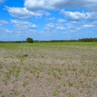 125 Acres with Tallapoosa River Frontage images 5