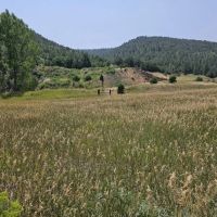 36 Del Agua Canyon Ranches images 4