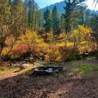 Boulder Creekside Cabins images 3