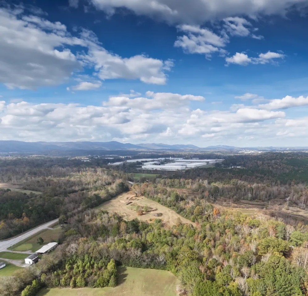 19.5 Acres in Whitfield County GA featured image
