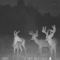 19.5 Acres in Whitfield County GA images 2