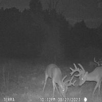 19.5 Acres in Whitfield County GA images 4