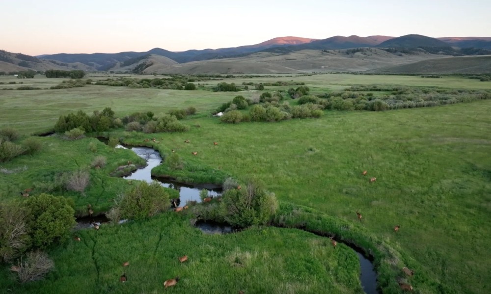 Elk Flats on Tomichi Creek featured image