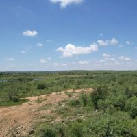 New Listing 67 - Acres Taylor County images 3