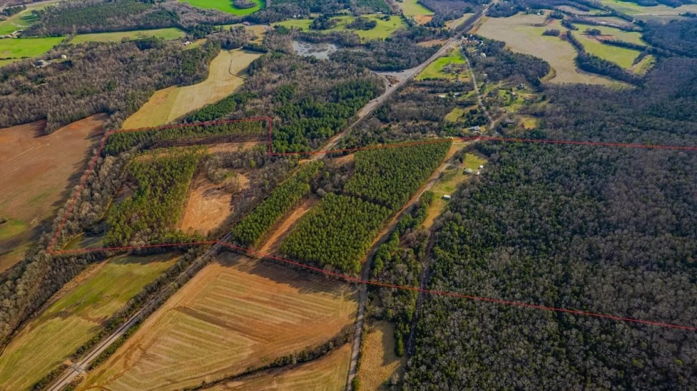 159 - acre Hunting Tract with House Garage and Pole Barn featured image