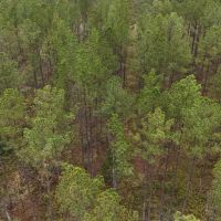 159 - acre Hunting Tract with House Garage and Pole Barn images 4