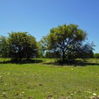 Amazing Hill Country Views Ag Exempt Briggs TX images 4