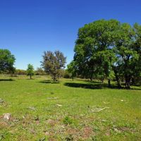 Amazing Hill Country Views Ag Exempt Briggs TX images 5