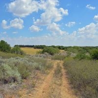 159 Acre Oklahoma Hunting Land and Farm in Grandfield OK images 4