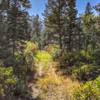 Trinity Ranch images 4