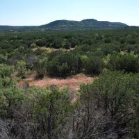New Listing 10.01 Acres Taylor County images 3