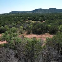 New Listing 10.01 Acres Taylor County images 4
