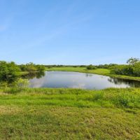 83-Acre Farm Ranch in Odem TX for Sale images 2