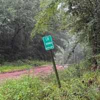 53 Acres T-1 Off County Road 2064 01253 images 2