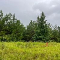 53 Acres T-1 Off County Road 2064 01253 images 4