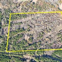 46 Acres Off County Road 3