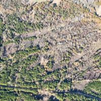 46 Acres Off County Road 3 images 2