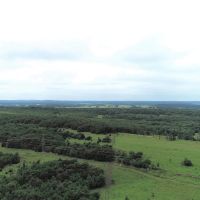 138 Acre Oklahoma Cattle and Hunting Land Kiowa OK images 4