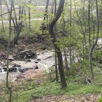 26 acres Waterfront Land on Keshequa Creek and Mature Forest in Portage NY Clancy Road images 2