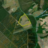 Sutton Farm North Side Prime Agriculture Potential images 3