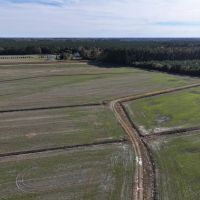 Sutton Farm North Side Prime Agriculture Potential images 5