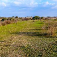 TBD Farm Road 1702 Unit 67 Dublin TX 76446 images 4