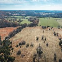 Barry County Cattle Farm-Tract 2 images 4