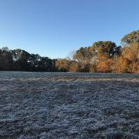 Farm pic 3