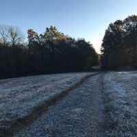 Farm pic 4